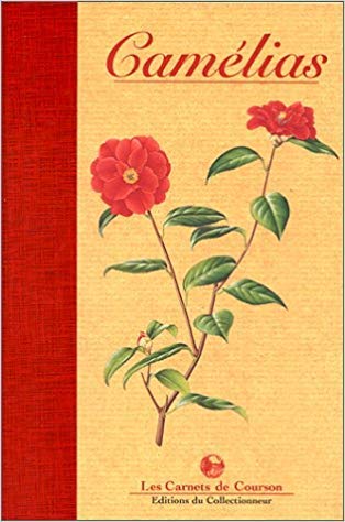 Camélia