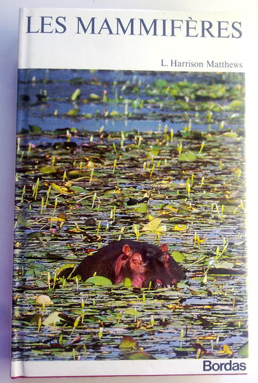 Les mammifères