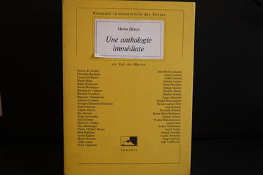 Une anthologie immédiate