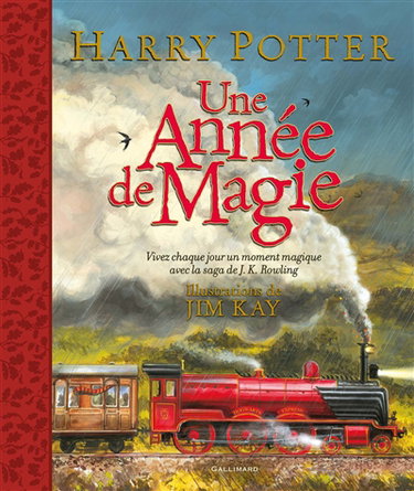 Couverture de Harry Potter : une année de magie : vivez chaque jour un moment magique avec la saga de J.K. Rowling