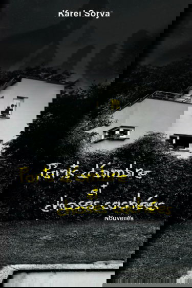 Parts d'ombre et choses cachées: Nouvelles