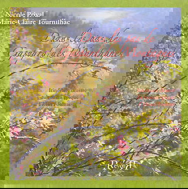 Dans les pas de Gaspard des montagnes : itinéraire illustré du roman épique d'Henri Pourrat