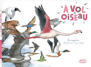 A vol d'oiseau : les migrations