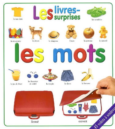 Les mots : 45 volets à trouver