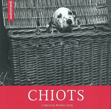Chiots : collection Hulton Getty