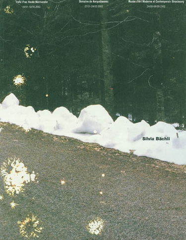 Silvia Bächli : exposition, Sotteville-lès-Rouen, Frac Haute-Normandie, 18 janv-10 mars 2002 ; Bignan, Domaine de Kerguéhennec, centre d'art contemporain, 27 janv-24 mars 2002...