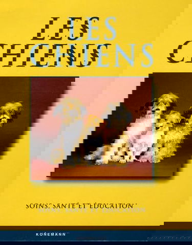 Les chiens : santé, éducation, soins et affection