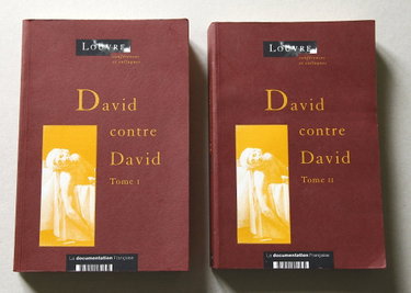 Couverture de David contre David