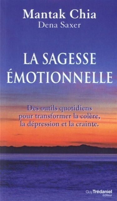 La sagesse émotionnelle : des outils quotidiens pour transformer la colère, la dépression et la crainte