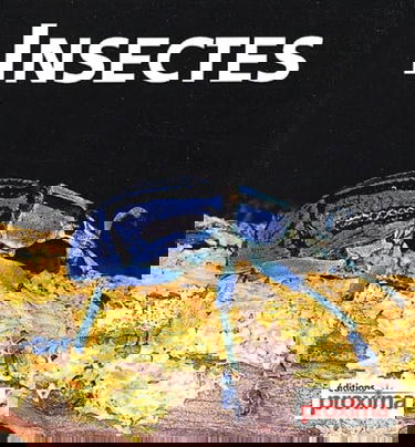 Insectes
