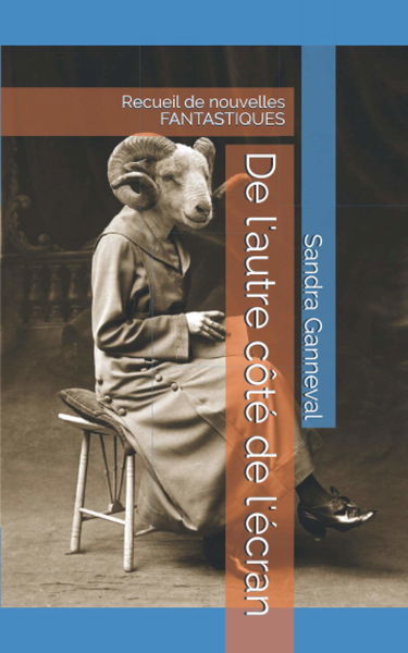 De l'autre côté de l'écran: Recueil de nouvelles FANTASTIQUES