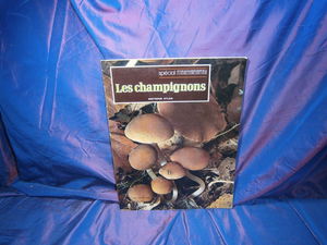 Les champignons