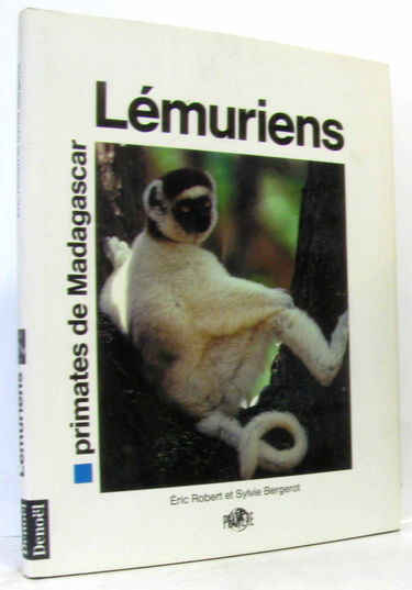 Lémuriens : primates de Madagascar