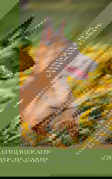 eduquer son chien de garde