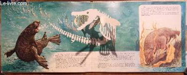 Mammifères en relief