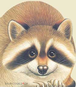 Le Raton-laveur du fleuve