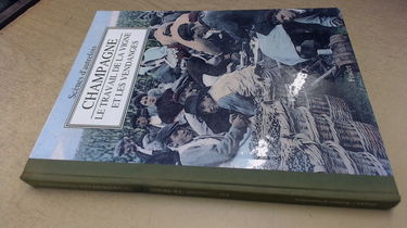 Champagne : le travail de la vigne et les vendanges