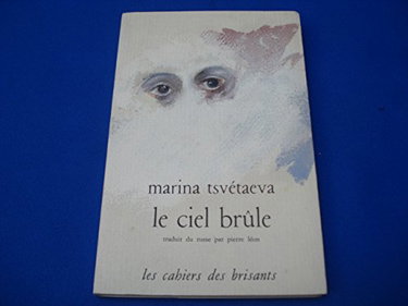 Couverture de Le Ciel brûle