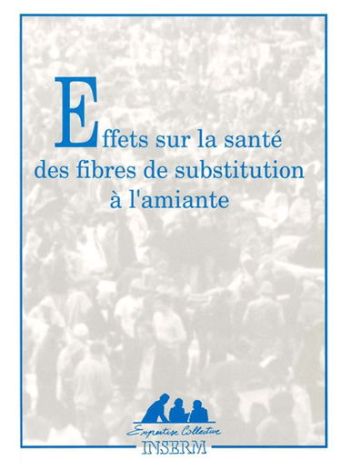 Effets sur la santé des fibres de substitution à l'amiante : rapport établi à la demande de la Direction Générale de la Santé et de la Direction des Relations du Travail (Ministère de l'Emploi et de la Solidarité)