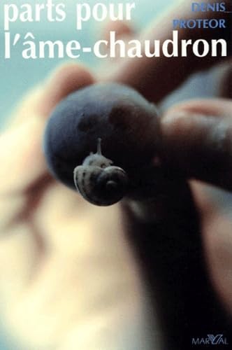 Parts pour l'âme-chaudron