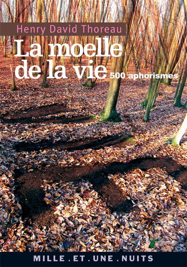 La moelle de la vie : 500 aphorismes