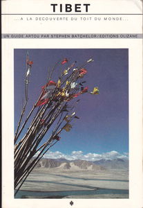 Tibet : à la découverte du toit du monde