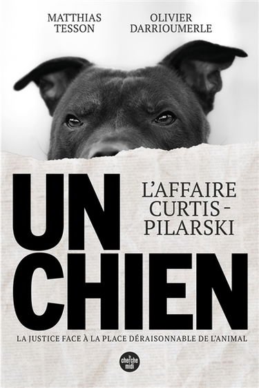 Un chien : l'affaire Curtis-Pilarski