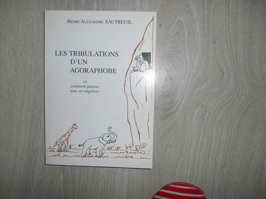 Les tribulations d'un agoraphobe ou Comment pactiser avec ses angoisses