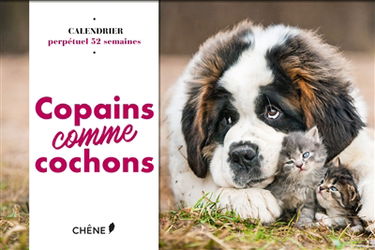 Copains comme cochons : calendrier perpétuel 52 semaines
