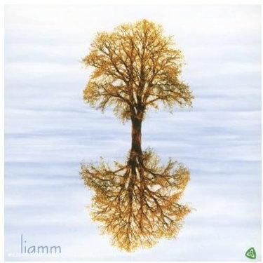 Couverture de liamm