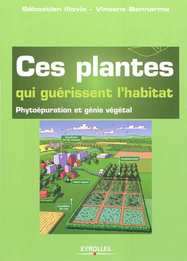 Ces plantes qui guérissent l'habitat : phytoépuration et génie végétal