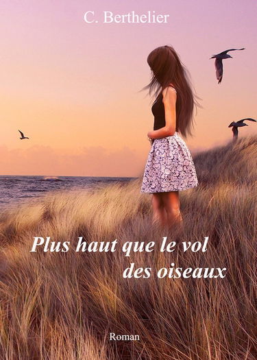 Plus haut que le vol des oiseaux