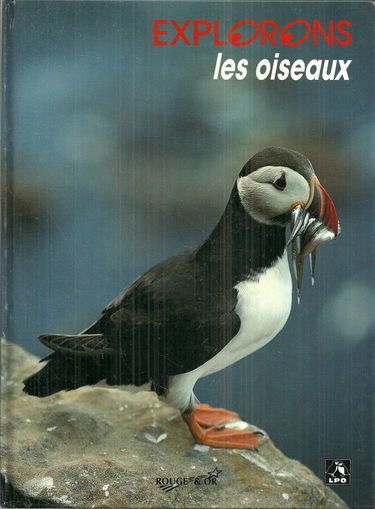 Les Oiseaux