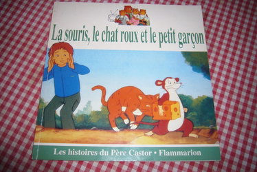 Couverture de Histoire de la souris, du chat roux et du petit garçon