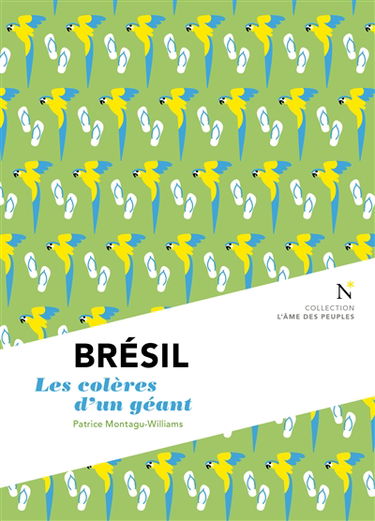 Brésil : les colères d'un géant
