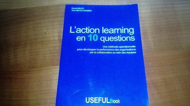 L'action learning en 10 questions - Une méthode opérationnelle pour développer la performance des organisations par la collaboration au sein des équipes