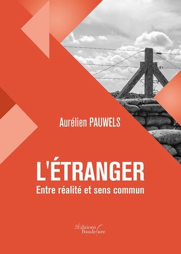 L'étranger : entre réalité et sens commun