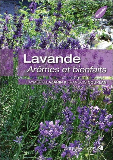 Lavande : arômes et bienfaits