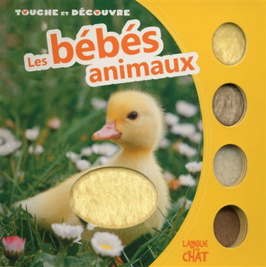 Couverture de Touche et découvre les bébés animaux