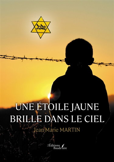 Couverture de Une étoile jaune brille dans le ciel par Jean-Marie Martin
