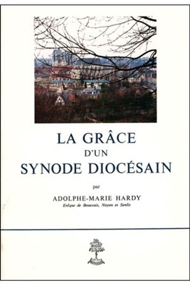 La Grâce d'un synode diocésain