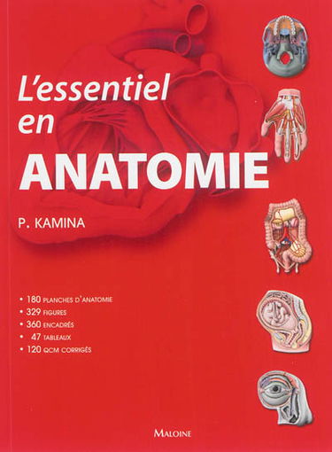 L'essentiel en anatomie