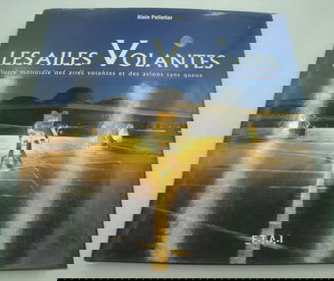 Mystérieuses ailes volantes