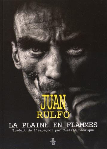 Couverture de La plaine en flammes