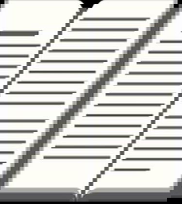 Les années Merlus histoire du Football club de Lorient de 1925 à 1998