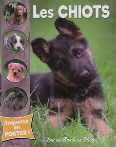 Les chiots