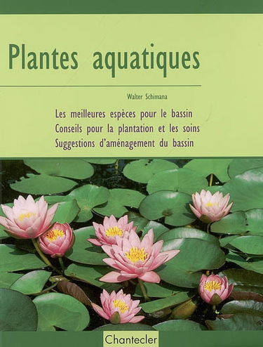 Plantes aquatiques : les meilleures espèces pour le bassin, conseils pour la plantation et les soins, suggestions d'aménagement du bassin