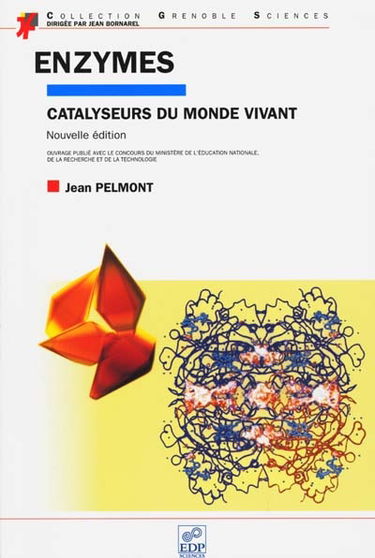 Enzymes : catalyseurs du monde vivant