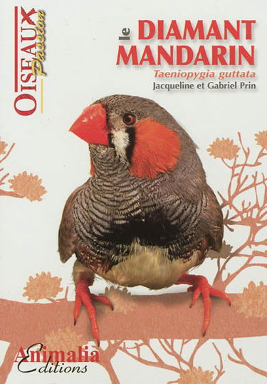 Le diamant mandarin : taeniopygia guttata