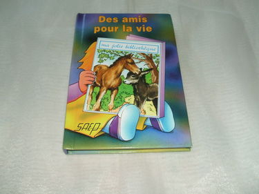 Des Amis pour la Vie (T. 27)